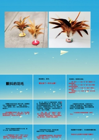 春五年级语文下册 第3课《颤抖的羽毛》教学课件 冀教版-冀教版小学五年级下册语文课件