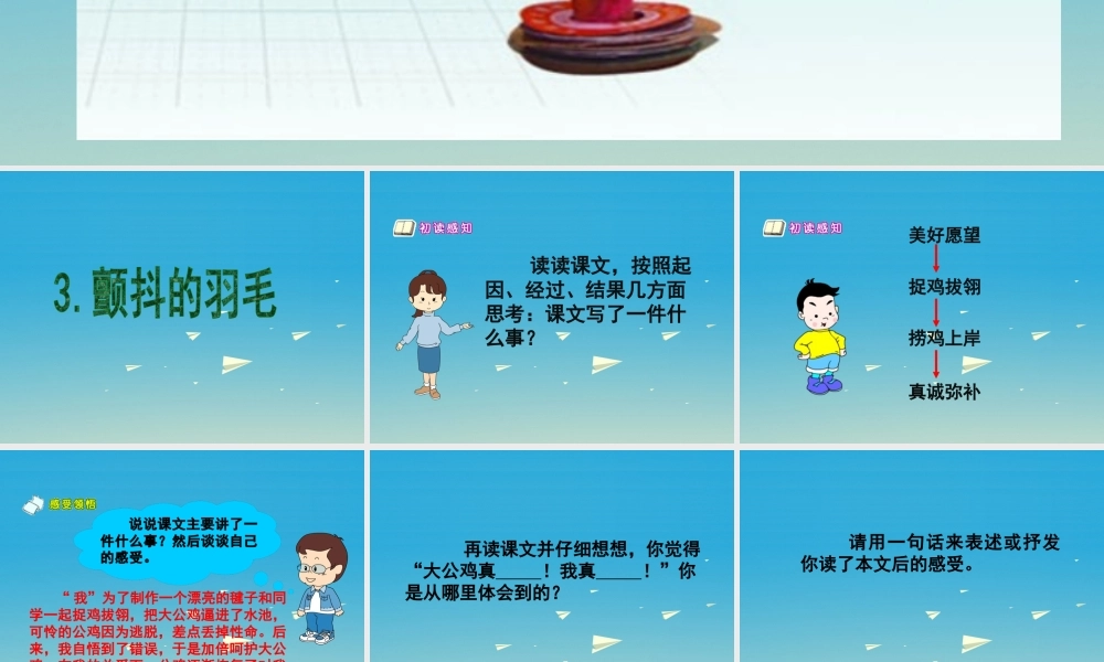 春五年级语文下册 第3课《颤抖的羽毛》课件 冀教版-冀教版小学五年级下册语文课件