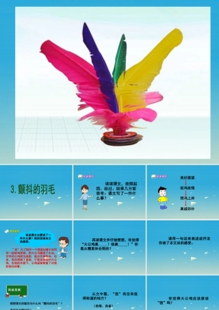 春五年级语文下册 第3课《颤抖的羽毛》课件 冀教版-冀教版小学五年级下册语文课件