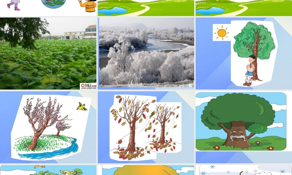 春六年级英语下册 Lesson 13《Summer is coming》课件4 （新版）冀教版（三起）-（新版）冀教版小学六年级下册英语课件