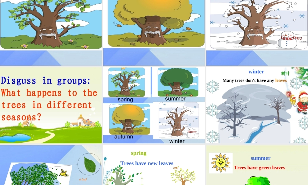 春六年级英语下册 Lesson 13《Summer is coming》课件4 （新版）冀教版（三起）-（新版）冀教版小学六年级下册英语课件