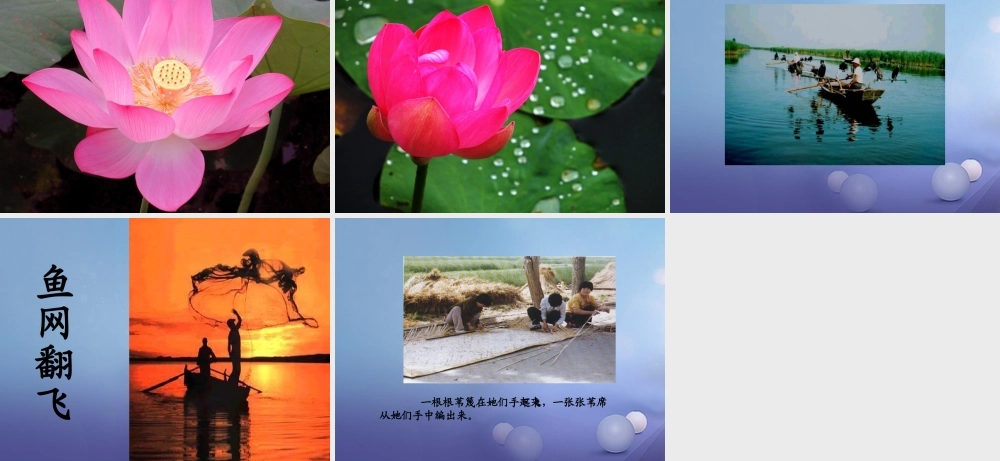 春二年级语文下册 第一单元 第3课《华北明珠白洋淀》教学课件 冀教版-冀教版小学二年级下册语文课件