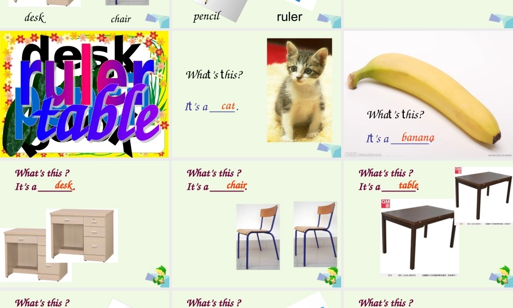 秋三年级英语上册 Unit 2 My classmate课件2 广东版开心-广东版小学三年级上册英语课件