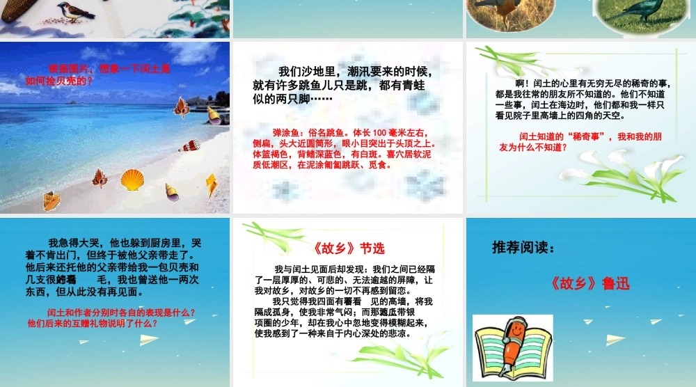 春五年级语文下册 第4课《少年闰土》课件 冀教版-冀教版小学五年级下册语文课件