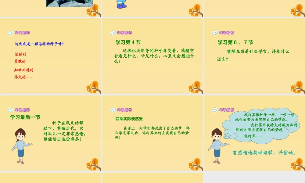 春五年级语文下册 第5单元 心愿（2）《种子的梦》教学课件 北师大版-北师大版小学五年级下册语文课件