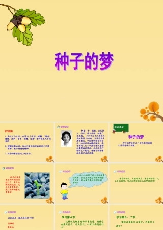 春五年级语文下册 第5单元 心愿（2）《种子的梦》教学课件 北师大版-北师大版小学五年级下册语文课件