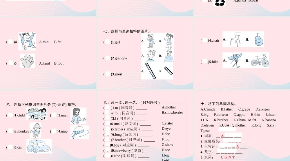 春三年级英语下册 语音与词汇专项课件 人教PEP-人教PEP小学三年级下册英语课件