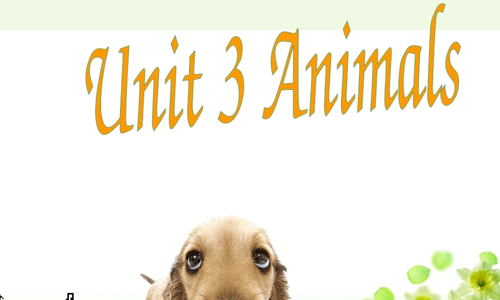 秋三年级英语上册 Unit 3 Animals课件3 广东版开心-广东版小学三年级上册英语课件
