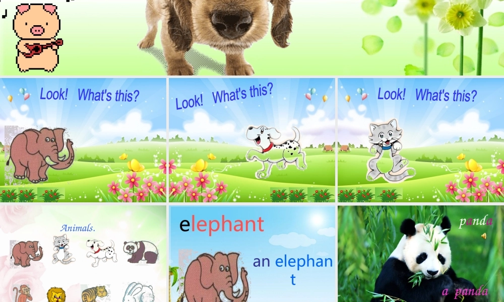 秋三年级英语上册 Unit 3 Animals课件3 广东版开心-广东版小学三年级上册英语课件