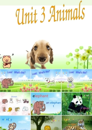 秋三年级英语上册 Unit 3 Animals课件3 广东版开心-广东版小学三年级上册英语课件