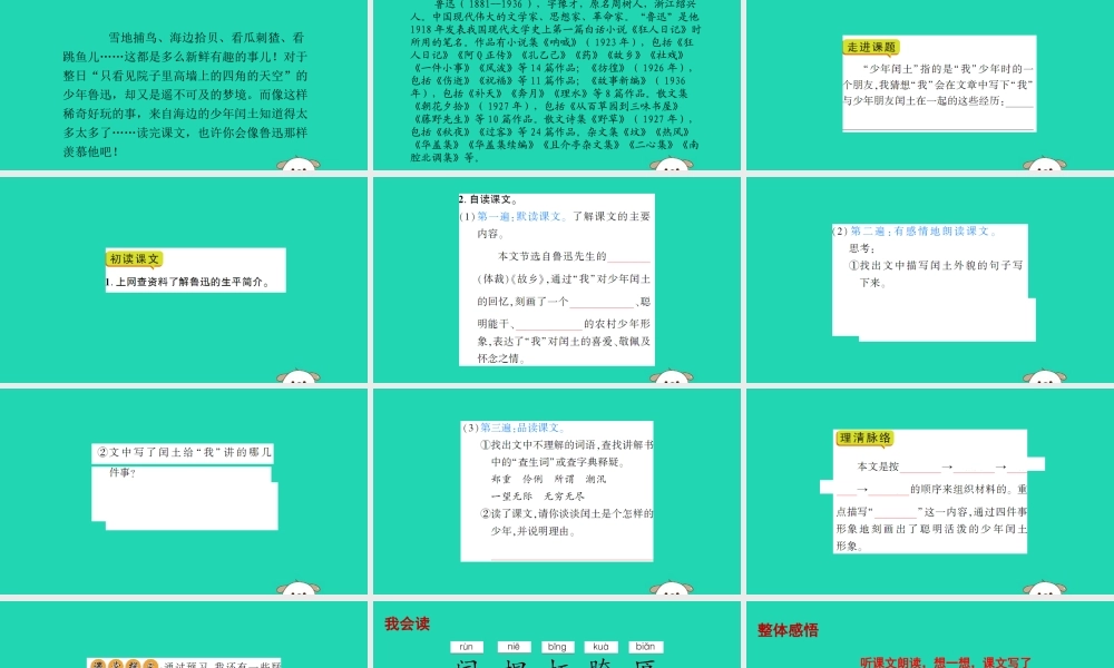 春五年级语文下册 第六单元 26 少年闰土教学课件 语文S版-语文S版小学五年级下册语文课件