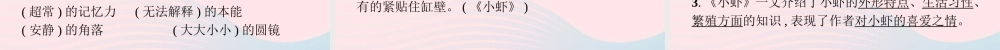 春三年级语文下册 第4单元知识盘点习题课件 新人教版-新人教版小学三年级下册语文课件