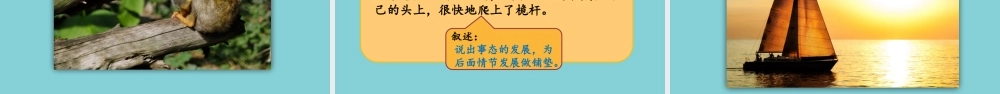 春五年级语文下册 第六单元 第17课 跳水教学课件 新人教版-新人教版小学五年级下册语文课件