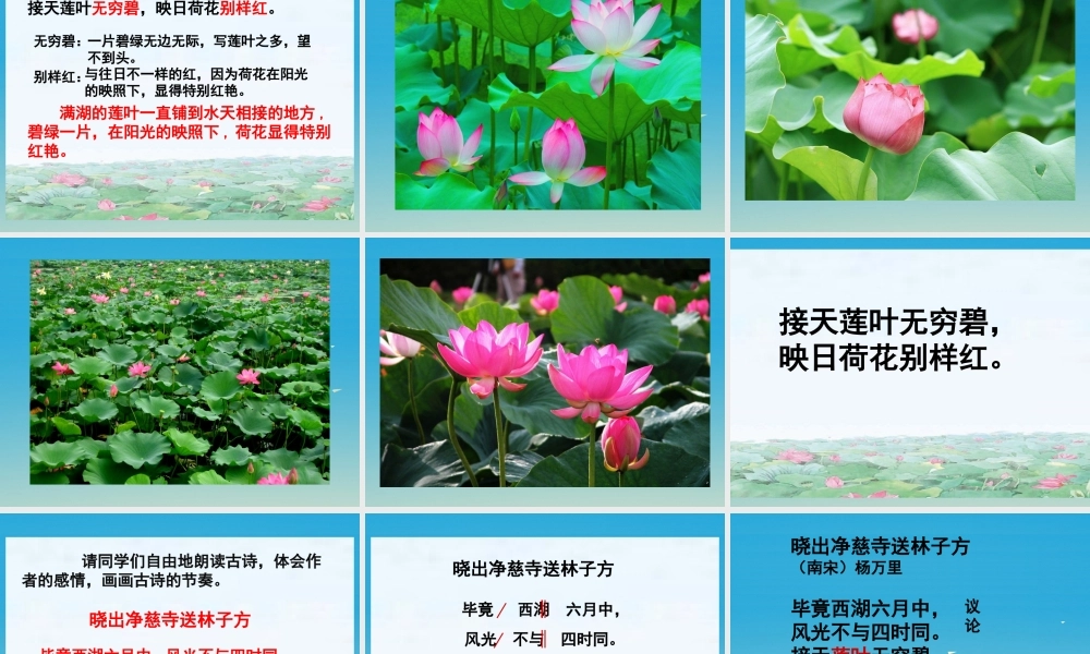 春五年级语文下册 第6课《古诗二首》晓出净慈寺送林子方课件 冀教版-冀教版小学五年级下册语文课件