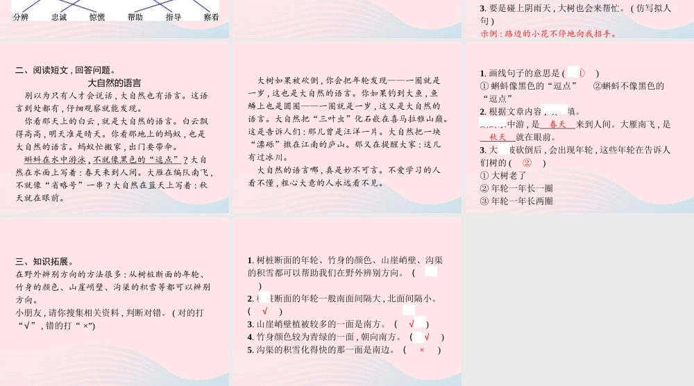 春二年级语文下册 课文5 17要是你在野外迷了路课件 新人教版-新人教版小学二年级下册语文课件