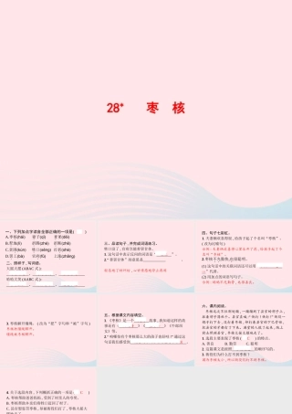 春三年级语文下册 第八单元 28枣核习题课件 新人教版-新人教版小学三年级下册语文课件
