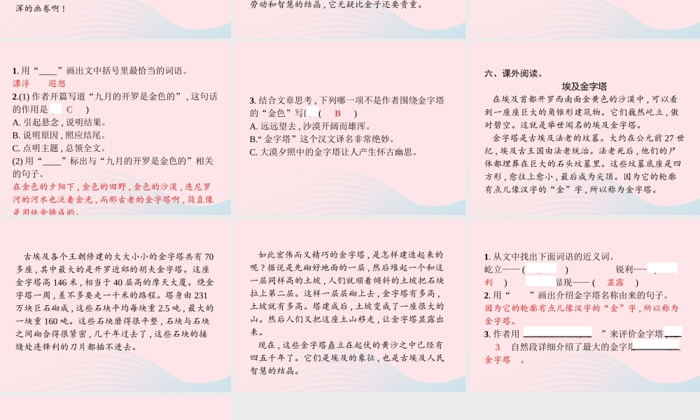 春五年级语文下册 第七单元 20金字塔习题课件 新人教版-新人教版小学五年级下册语文课件