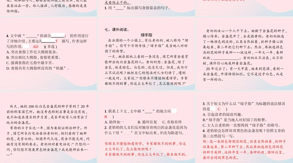 春五年级语文下册 第七单元 22手指习题课件 新人教版-新人教版小学五年级下册语文课件