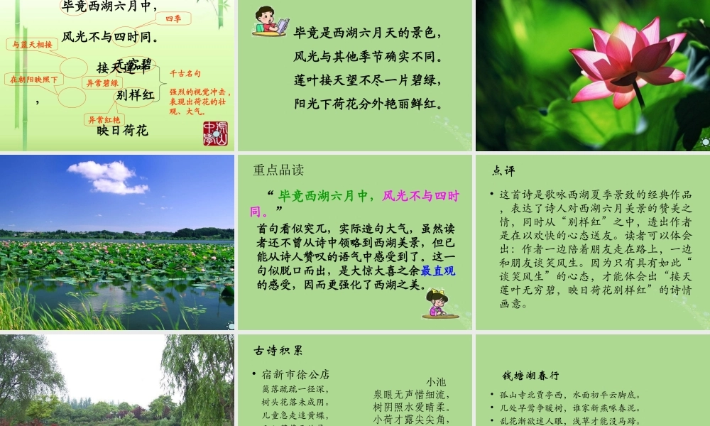 春五年级语文下册 第七单元 24 古诗两首教学课件 苏教版-苏教版小学五年级下册语文课件