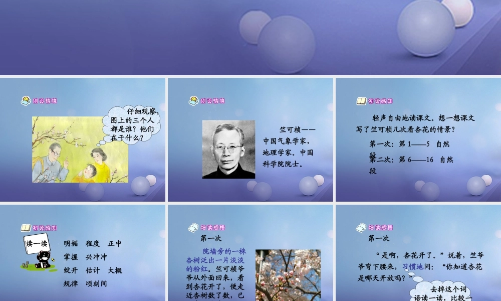 春三年级语文下册 第二单元 第7课《第一朵杏花》教学课件1 冀教版-冀教版小学三年级下册语文课件