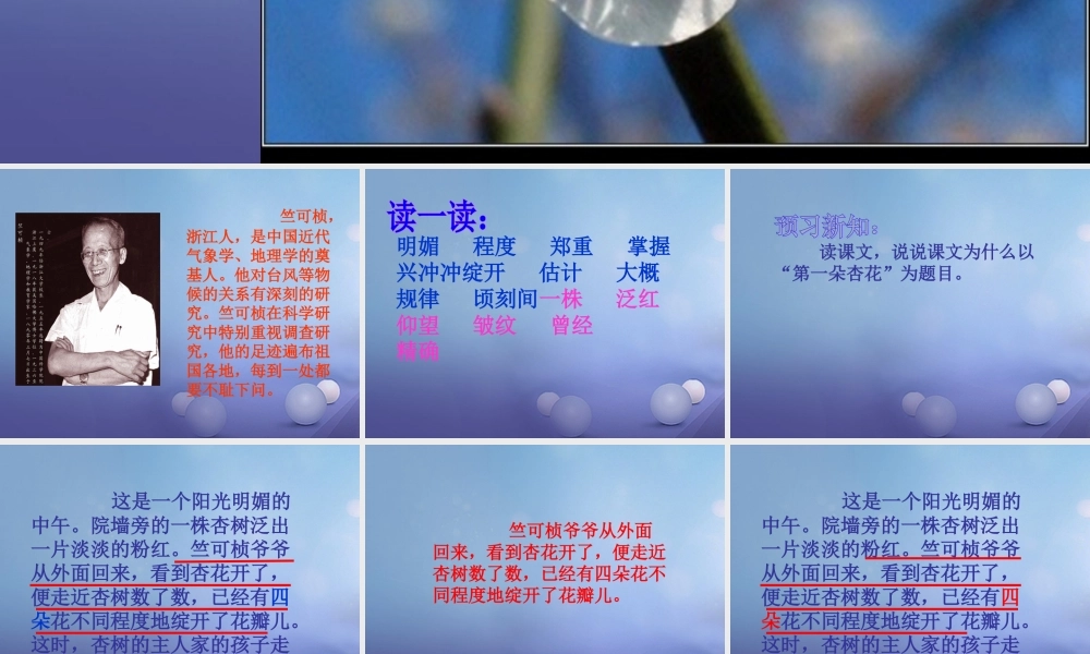 春三年级语文下册 第二单元 第7课《第一朵杏花》教学课件2 冀教版-冀教版小学三年级下册语文课件