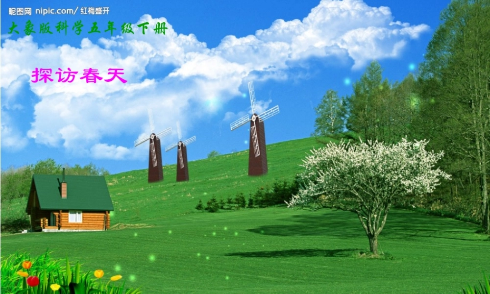 春五年级科学下册 1.2《探访春天》课件3 大象版-大象版小学五年级下册自然科学课件