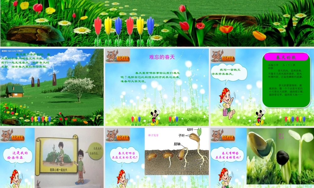 春五年级科学下册 1.2《探访春天》课件3 大象版-大象版小学五年级下册自然科学课件