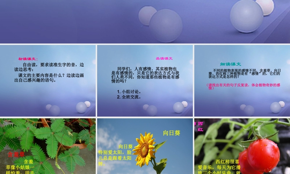 春三年级语文下册 第二单元 第8课《植物的“感情”》教学课件1 冀教版-冀教版小学三年级下册语文课件