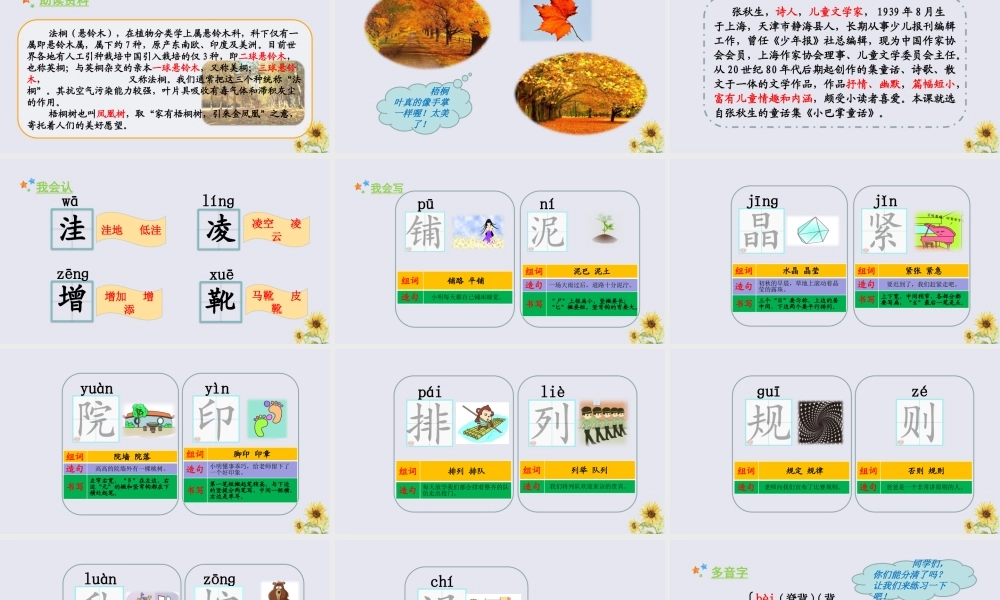 秋三年级语文上册 第二单元 5 铺满金色巴掌的水泥道教学课件 新人教版-新人教版小学三年级上册语文课件