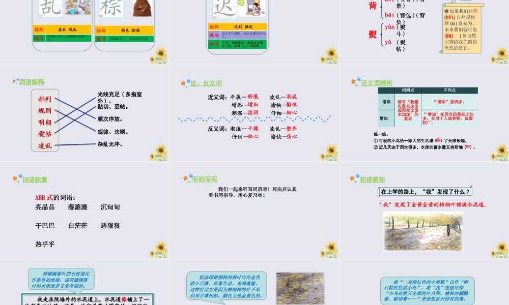 秋三年级语文上册 第二单元 5 铺满金色巴掌的水泥道教学课件 新人教版-新人教版小学三年级上册语文课件