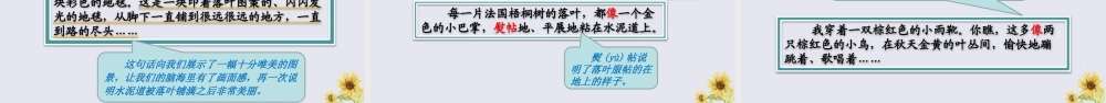 秋三年级语文上册 第二单元 5 铺满金色巴掌的水泥道教学课件 新人教版-新人教版小学三年级上册语文课件
