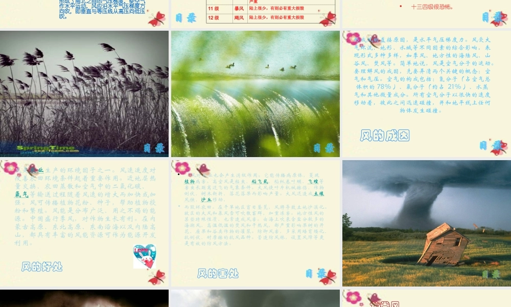 春五年级科学下册 2.2《春风拂面》课件2 大象版-大象版小学五年级下册自然科学课件