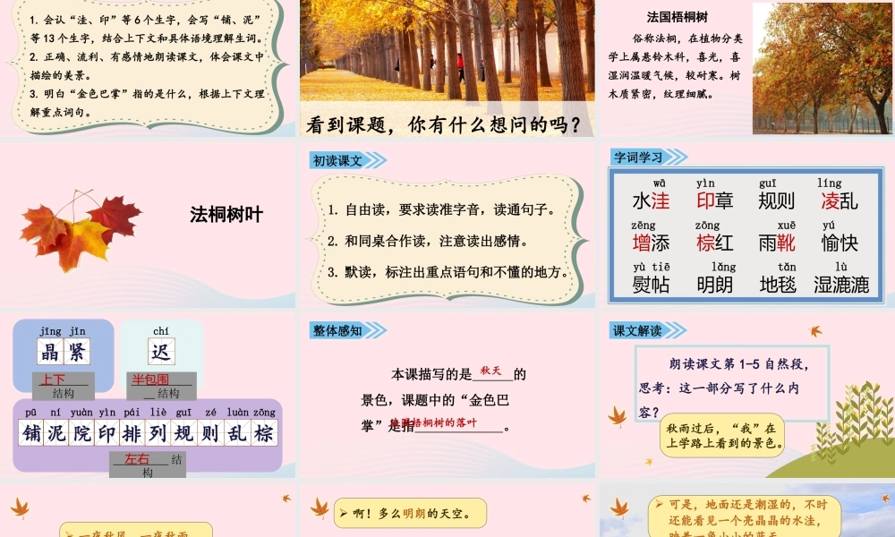 秋三年级语文上册 第二单元 5《铺满金色巴掌的水泥道》课堂教学课件 新人教版-新人教版小学三年级上册语文课件