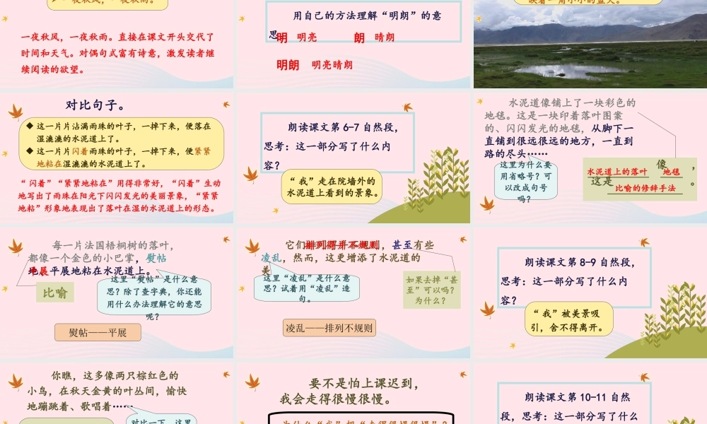 秋三年级语文上册 第二单元 5《铺满金色巴掌的水泥道》课堂教学课件 新人教版-新人教版小学三年级上册语文课件