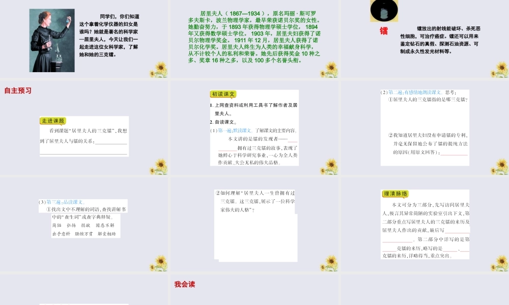 春五年级语文下册 第三单元 14 居里夫人的三克镭教学课件 语文S版-语文S版小学五年级下册语文课件
