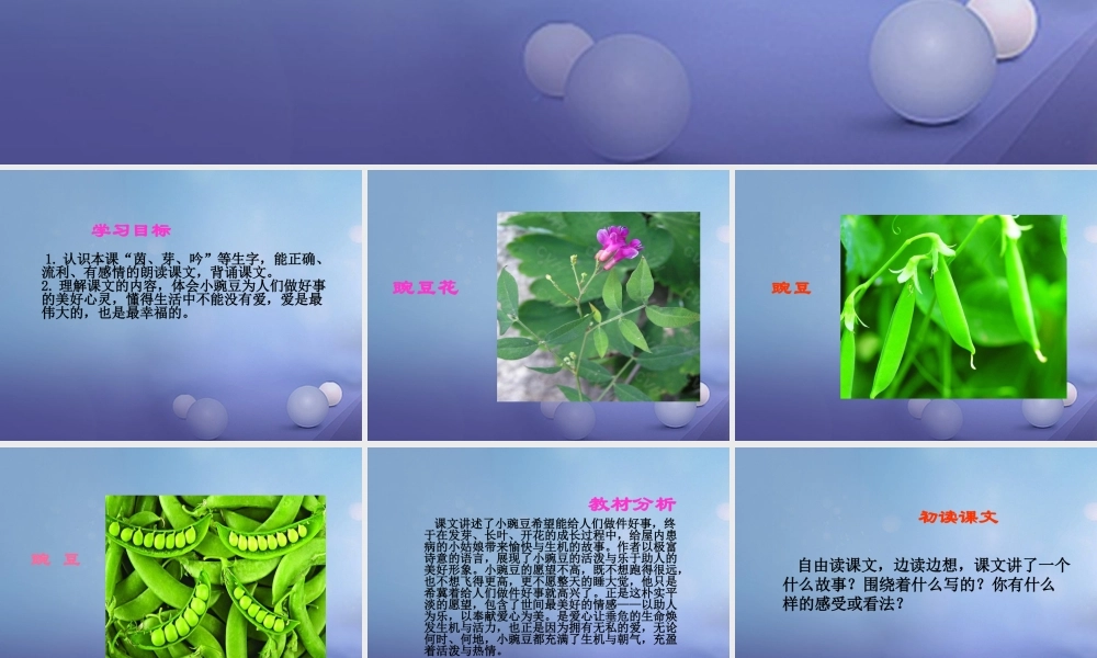 春三年级语文下册 第六单元 第26课《一颗小豌豆》教学课件1 冀教版-冀教版小学三年级下册语文课件