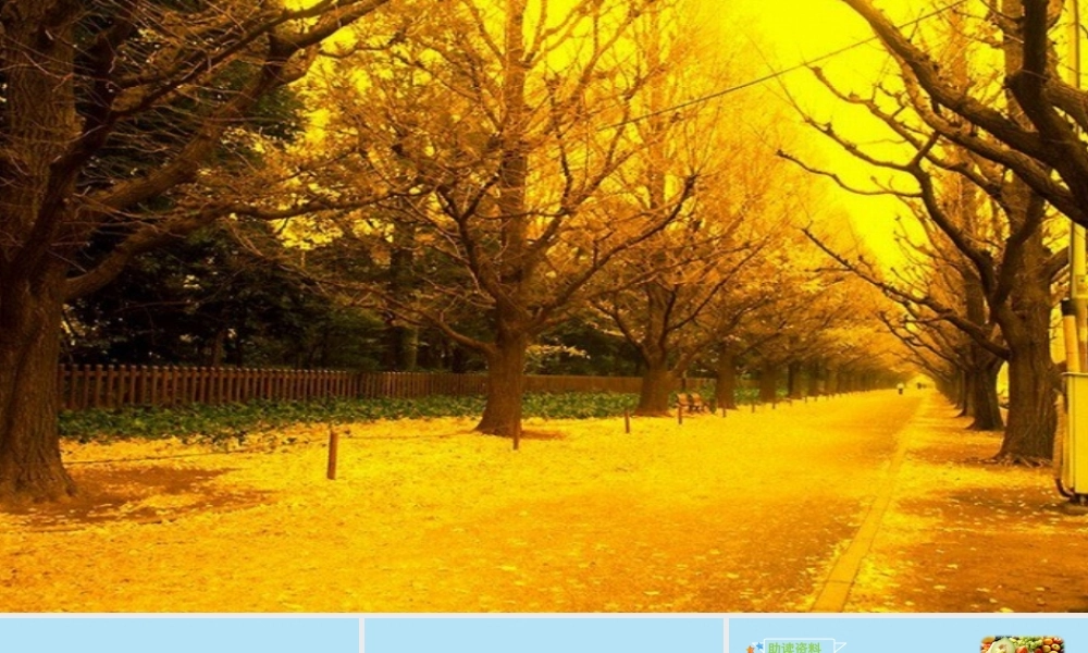 秋三年级语文上册 第二单元 7 听听，秋的声音教学课件 新人教版-新人教版小学三年级上册语文课件