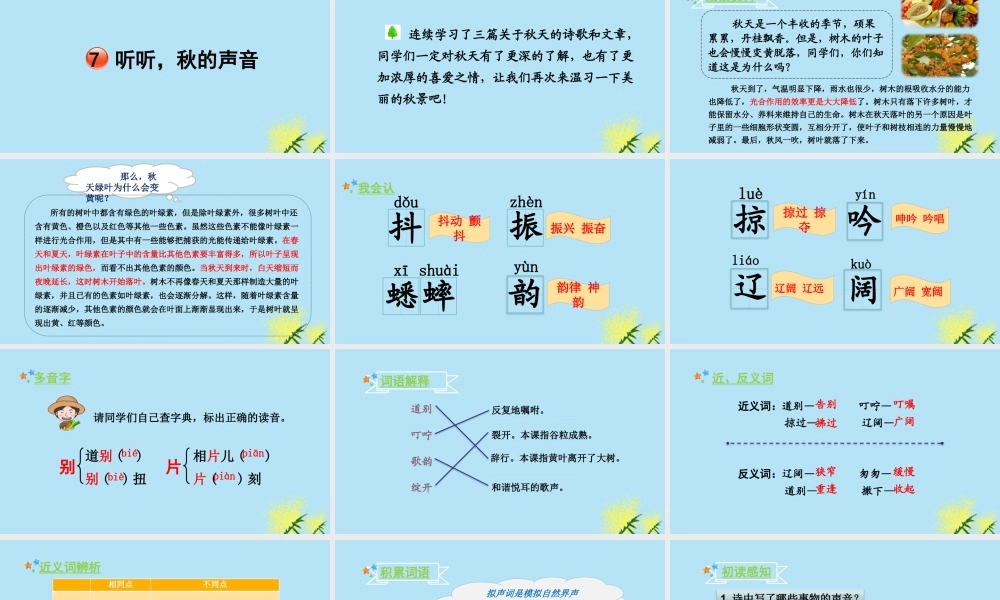 秋三年级语文上册 第二单元 7 听听，秋的声音教学课件 新人教版-新人教版小学三年级上册语文课件