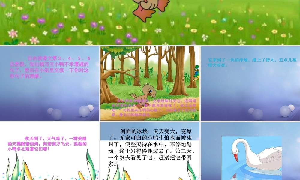 春三年级语文下册 第六单元 第28课《丑小鸭》教学课件1 冀教版-冀教版小学三年级下册语文课件
