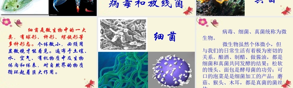 春五年级科学下册 5.1《寻找微生物》课件1 大象版-大象版小学五年级下册自然科学课件