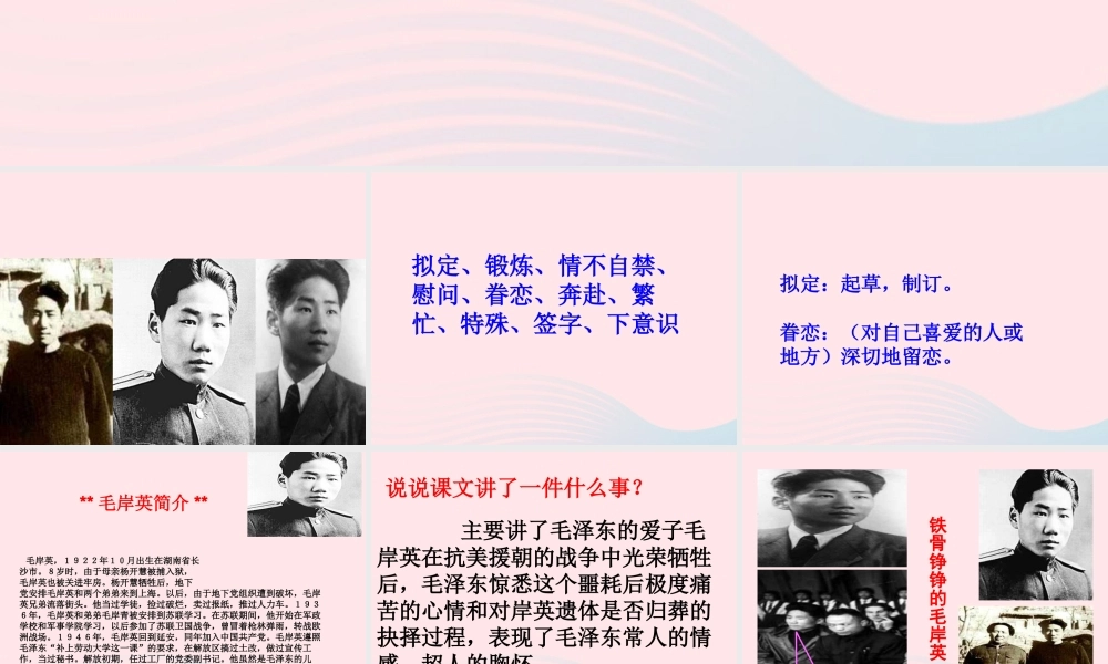 春五年级语文下册 第四单元 10 青山处处埋忠骨课件 新人教版-新人教版小学五年级下册语文课件