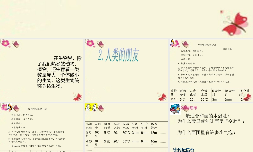 春五年级科学下册 5.2《人类的朋友》课件 大象版-大象版小学五年级下册自然科学课件