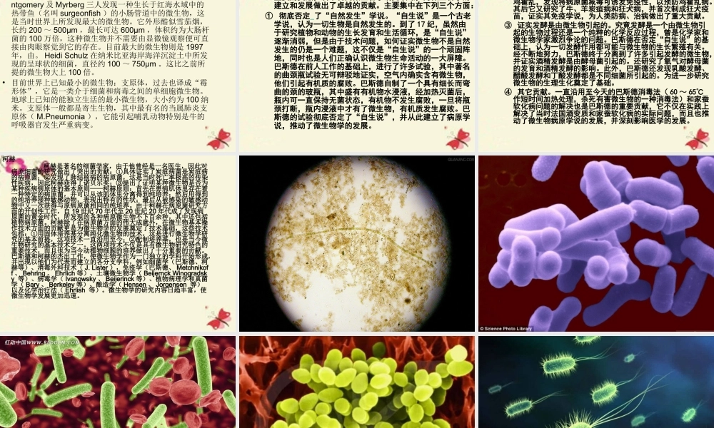 春五年级科学下册 5.2《人类的朋友》课件 大象版-大象版小学五年级下册自然科学课件
