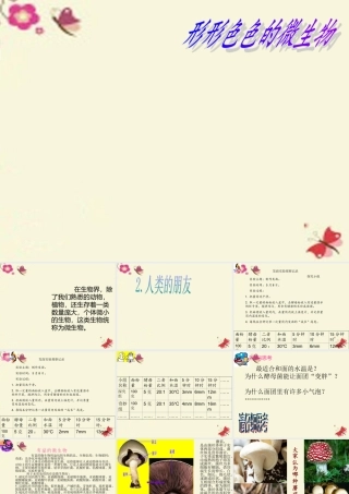 春五年级科学下册 5.2《人类的朋友》课件 大象版-大象版小学五年级下册自然科学课件