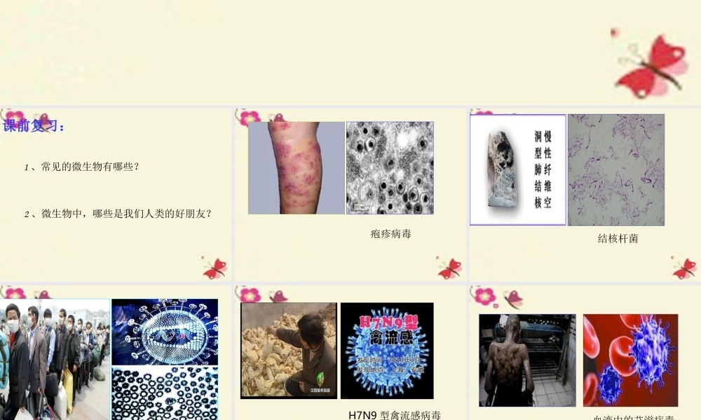 春五年级科学下册 5.3《微生物的危害》课件1 大象版-大象版小学五年级下册自然科学课件