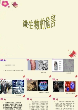 春五年级科学下册 5.3《微生物的危害》课件1 大象版-大象版小学五年级下册自然科学课件