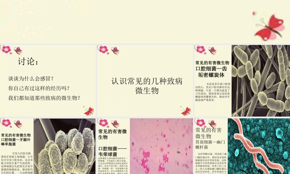 春五年级科学下册 5.3《微生物的危害》课件2 大象版-大象版小学五年级下册自然科学课件