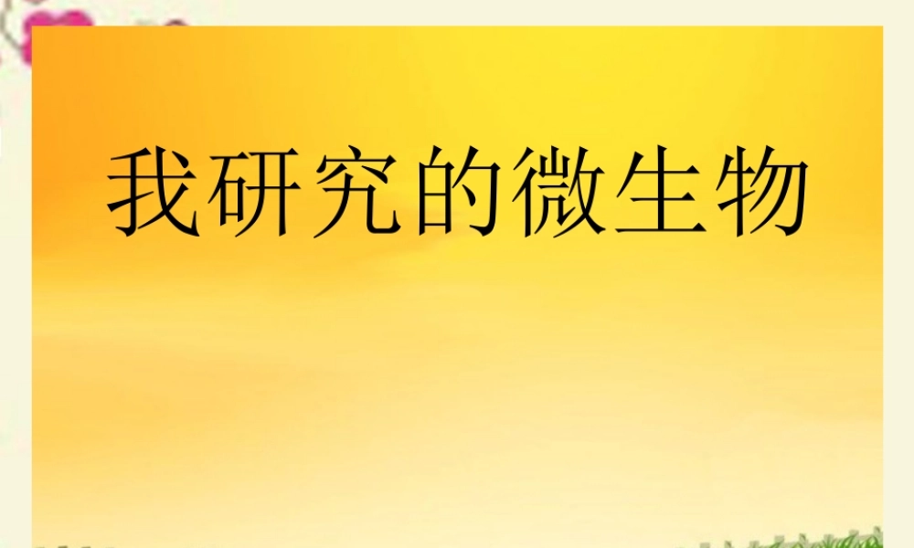 春五年级科学下册 5.4《我研究的微生物》课件 大象版-大象版小学五年级下册自然科学课件
