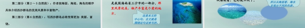 秋三年级语文上册 第六单元 18 富饶的西沙群岛教学课件 新人教版-新人教版小学三年级上册语文课件