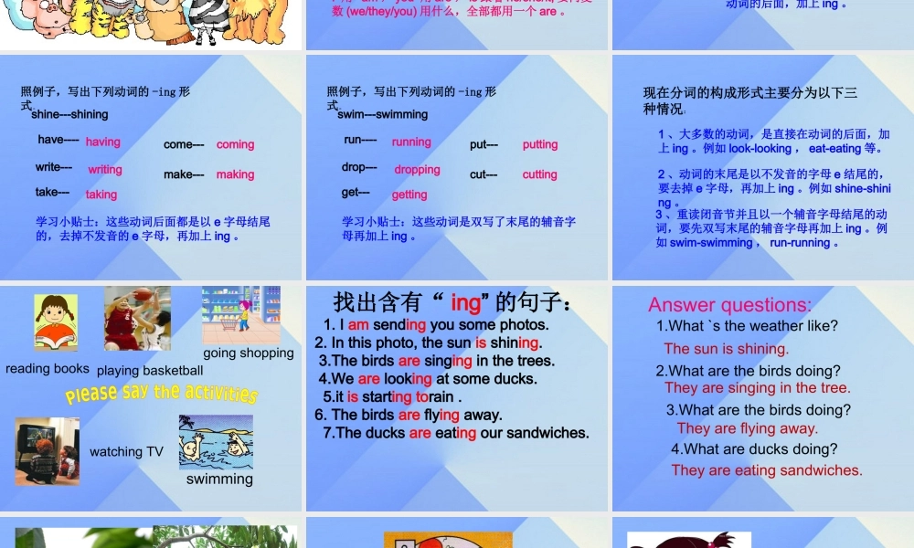 春六年级英语下册 Module 3 Unit 1《The sun is shining》课件3 （新版）外研版（三起）-（新版）外研版小学六年级下册英语课件